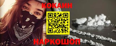 крисы Кулебаки