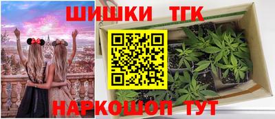 крисы Кулебаки