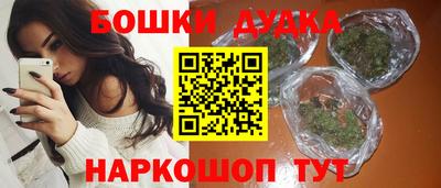 крисы Кулебаки