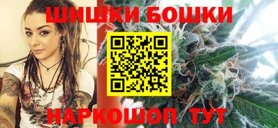 крисы Кулебаки