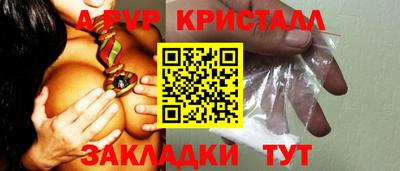 крисы Кулебаки