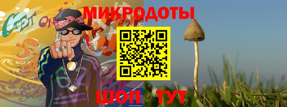 Псилоцибиновые грибы Cubensis Удомля